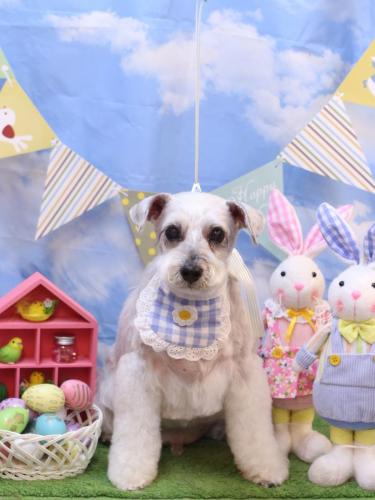 20240330ボルトくん